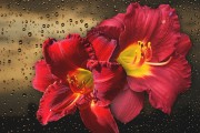 妃容天下游戲全線上免費(fèi)！你還在等什么？這款以歷史背景和精美畫面為題材的手機(jī)游戲，即將在全線上全面開啟。，妃容天下手游預(yù)約開啟