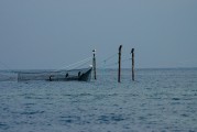 夢(mèng)中的魚(yú)影，一次自我探索的殺魚(yú)夢(mèng)，夢(mèng)中之魚(yú)影，一次自我探索的殺魚(yú)夢(mèng)境