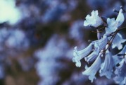 夢(mèng)游菜地，一場(chǎng)與自然的對(duì)話，夢(mèng)游菜地，與自然的對(duì)話之旅