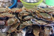 夢中的美食之旅，夢中的美食之旅探索之旅