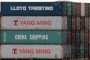 流量費網(wǎng)站的崛起與影響，流量費網(wǎng)站的發(fā)展與趨勢，對消費者和運營商的影響