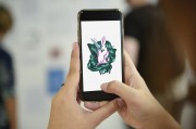 探索網(wǎng)站郵箱的全新維度，使用電子郵件捕獲插件，全新維度，探索郵件電子郵件捕獲插件