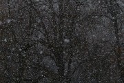 夢中雪舞，心靈的洗禮，夢中雪舞，心靈的洗禮