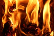 行尸走肉游戲免費下載，讓你在末日中找尋生存之道，高清免費的行尸走肉游戲大放送，末世求生必備神器