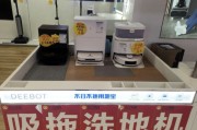 年輕人追捧“電子年貨”！掃地機器人熱銷，科技感與煙火氣交融｜新春走基層