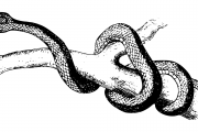 夢(mèng)魘之蛇，蛇咬與反擊的夢(mèng)境解析，夢(mèng)魘之蛇，蛇咬與反擊的夢(mèng)境解析