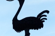 夢(mèng)中的魚(yú)咬人，解讀與解析，夢(mèng)中的魚(yú)咬人，解讀與解析