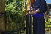 能在掙錢的免費農場游戲中生存下去嗎？，逃脫農地，自由農場生存挑戰