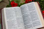 團員證漏注冊怎么辦？全方位解答您的困惑，團員證注冊遺漏解決方案全解析