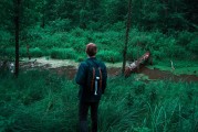 憤怒的小鳥(niǎo)2免費(fèi)游戲，開(kāi)啟你的綠色飛行之旅