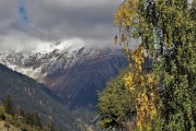 夢(mèng)境中的狂風(fēng)暴雨，一場(chǎng)心靈的洗禮，夢(mèng)境狂風(fēng)暴雨，心靈的洗禮之旅