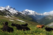 自由的纜車上山之旅，纜車旅行，一次自由探索山區的美妙體驗