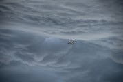 翱翔太空的戰(zhàn)爭游戲——星際爭霸，星際爭霸，浩瀚宇宙中的英勇對決