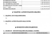 中央匯金，加倉！