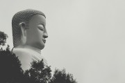 夢中與母親爭吵的反思，夢中與母親爭吵的深度反思