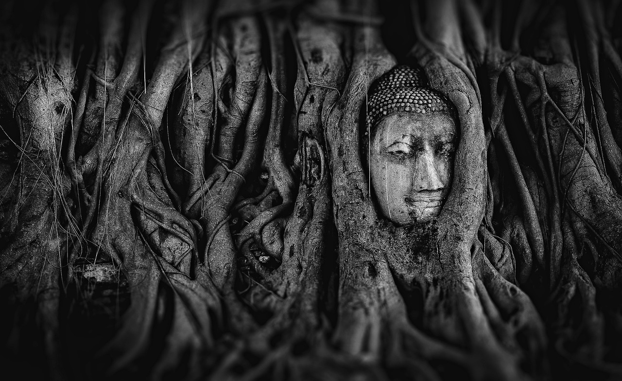 夢(mèng)中的巨蟒，一場(chǎng)神秘的夢(mèng)境之旅