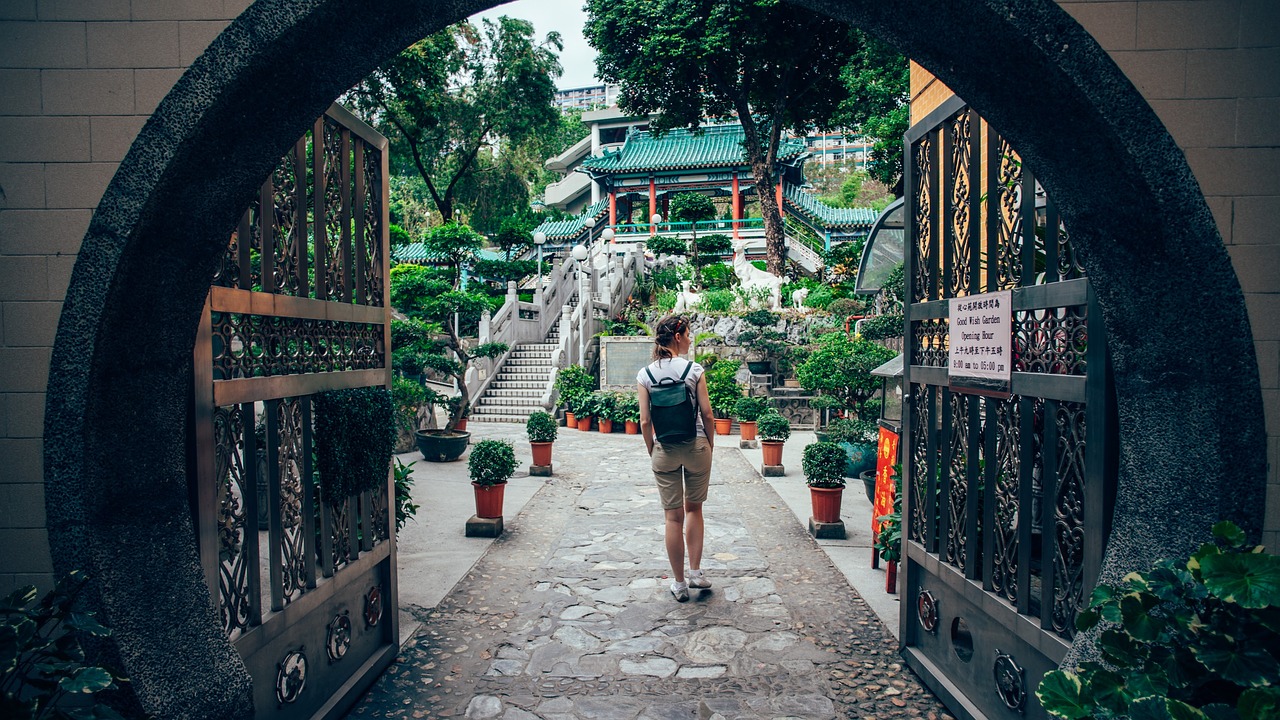 綠色的激戰——淺析花園戰爭游戲
