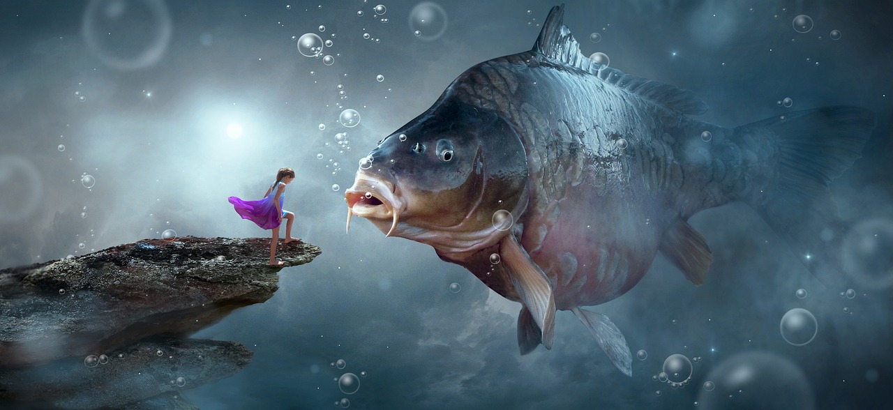 夢(mèng)中捉魚(yú)，一場(chǎng)與魚(yú)的奇妙邂逅