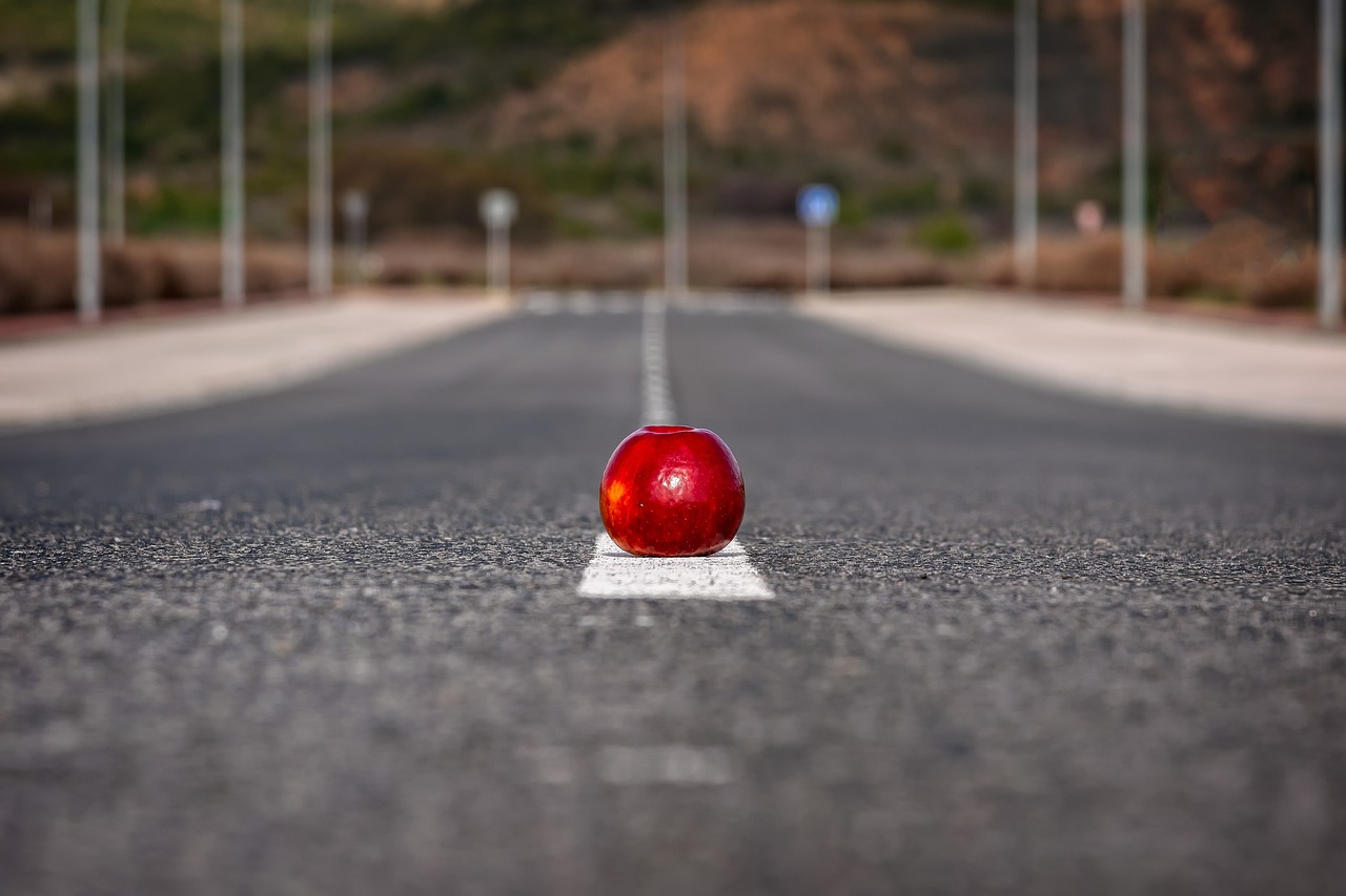 從零開始學SEO，一步步走向成功的道路