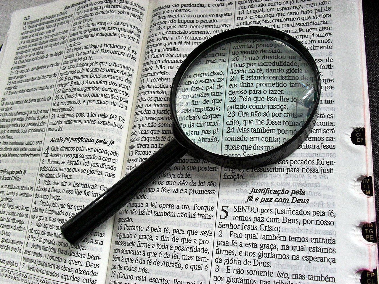 深入解析，如何使用Go語言高效搭建網站