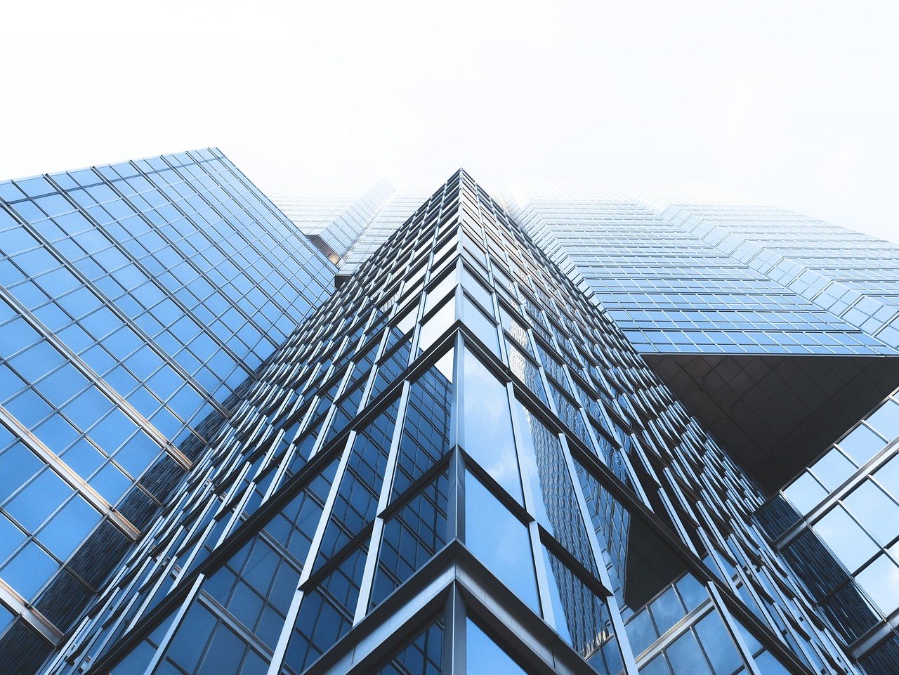 金科環境(688466.SH)：公司副總經理廖翔辭職，不再擔任公司任何職務