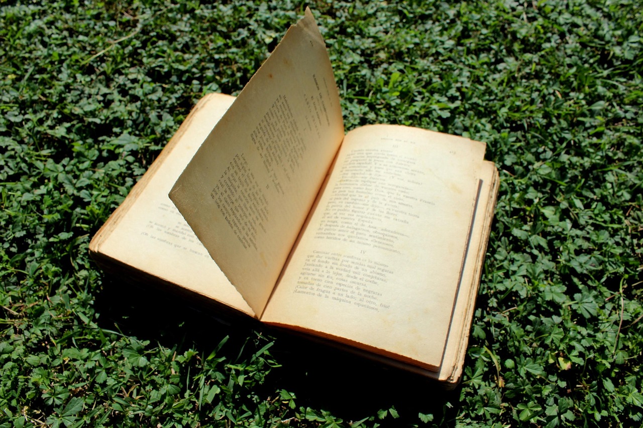 情感書單網站排名，探尋心靈慰藉的閱讀圣地，心靈療愈指南，情感書單網站排行揭秘