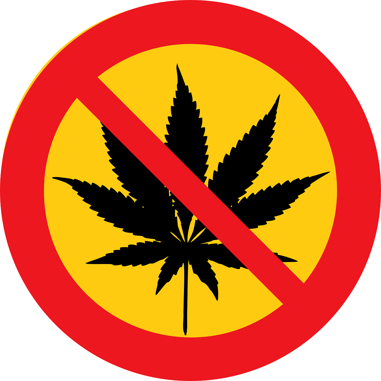注冊英文表達(dá)及注意事項(xiàng)