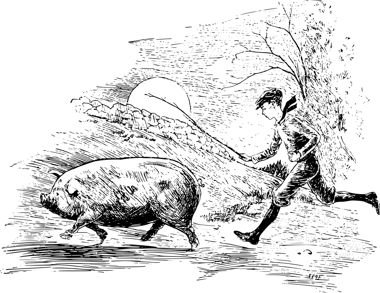 男人夢(mèng)到豬，寓意與解讀