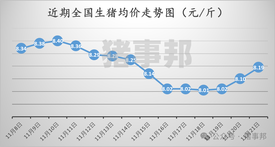 11月21日豬價(jià)匯總（繼續(xù)普漲，但情緒分化！）