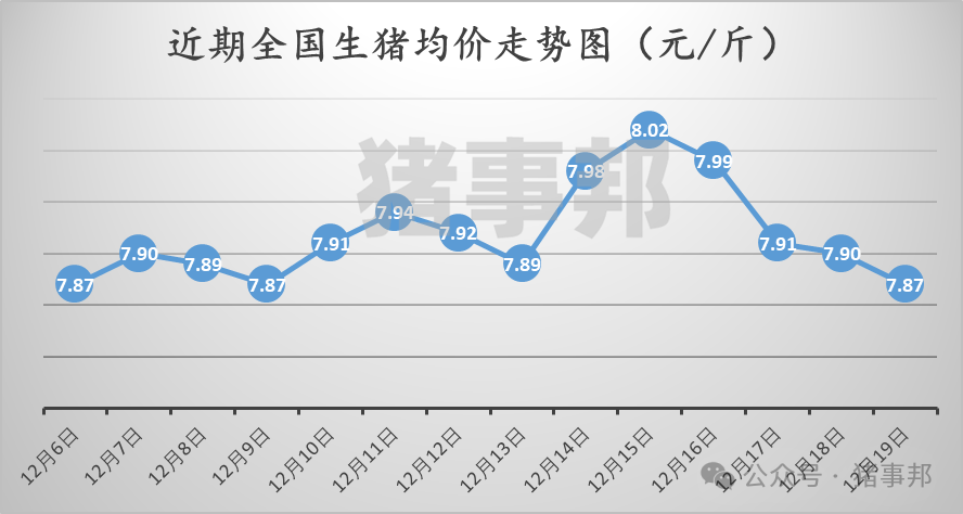 12月19日豬價匯總（情緒偏差，均價跌4天！）
