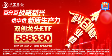 2024年收官！中國版“納斯達克”——雙創(chuàng)龍頭ETF（588330）年內(nèi)累漲14%