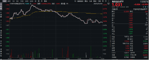 有色蓄勢高飛！有色龍頭ETF（159876）盤中逆市漲超3%！銅、金、鋁攜手上攻，北方銅業(yè)漲停封板