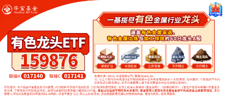 有色蓄勢高飛！有色龍頭ETF（159876）盤中逆市漲超3%！銅、金、鋁攜手上攻，北方銅業(yè)漲停封板