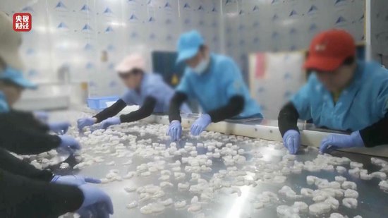 3·15晚會丨“保水蝦仁”，浮出水面！1斤蝦仁7兩冰……