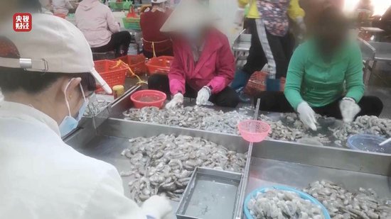 3·15晚會丨“保水蝦仁”，浮出水面！1斤蝦仁7兩冰……