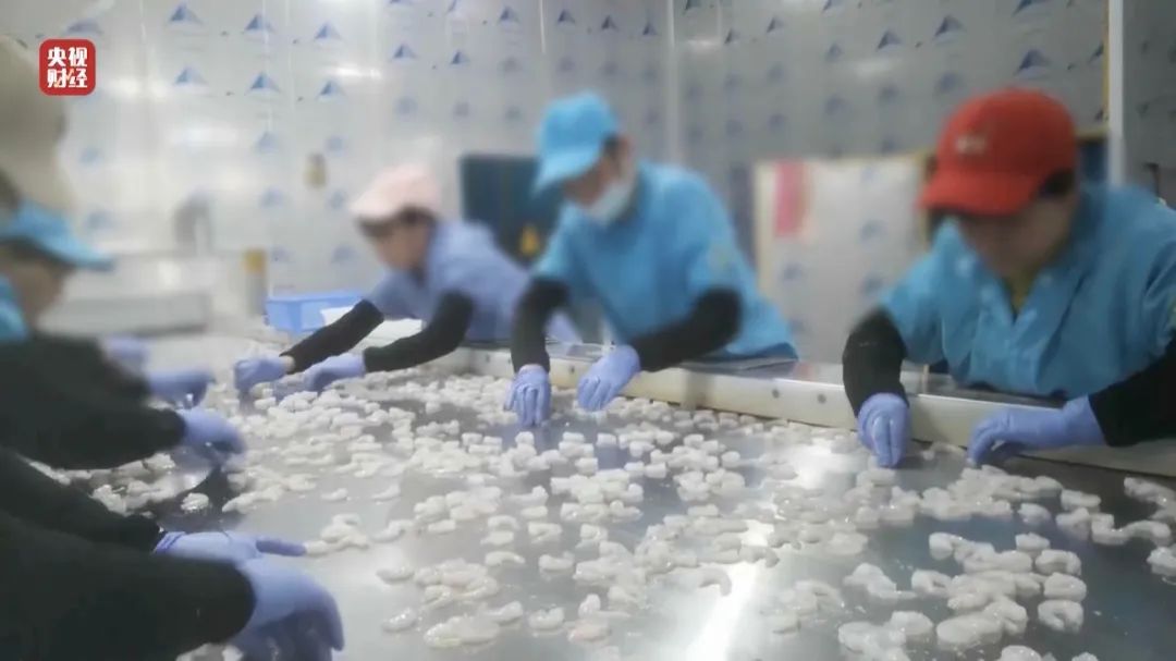 查封！關(guān)停！各地多部門連夜查處3·15曝光問題